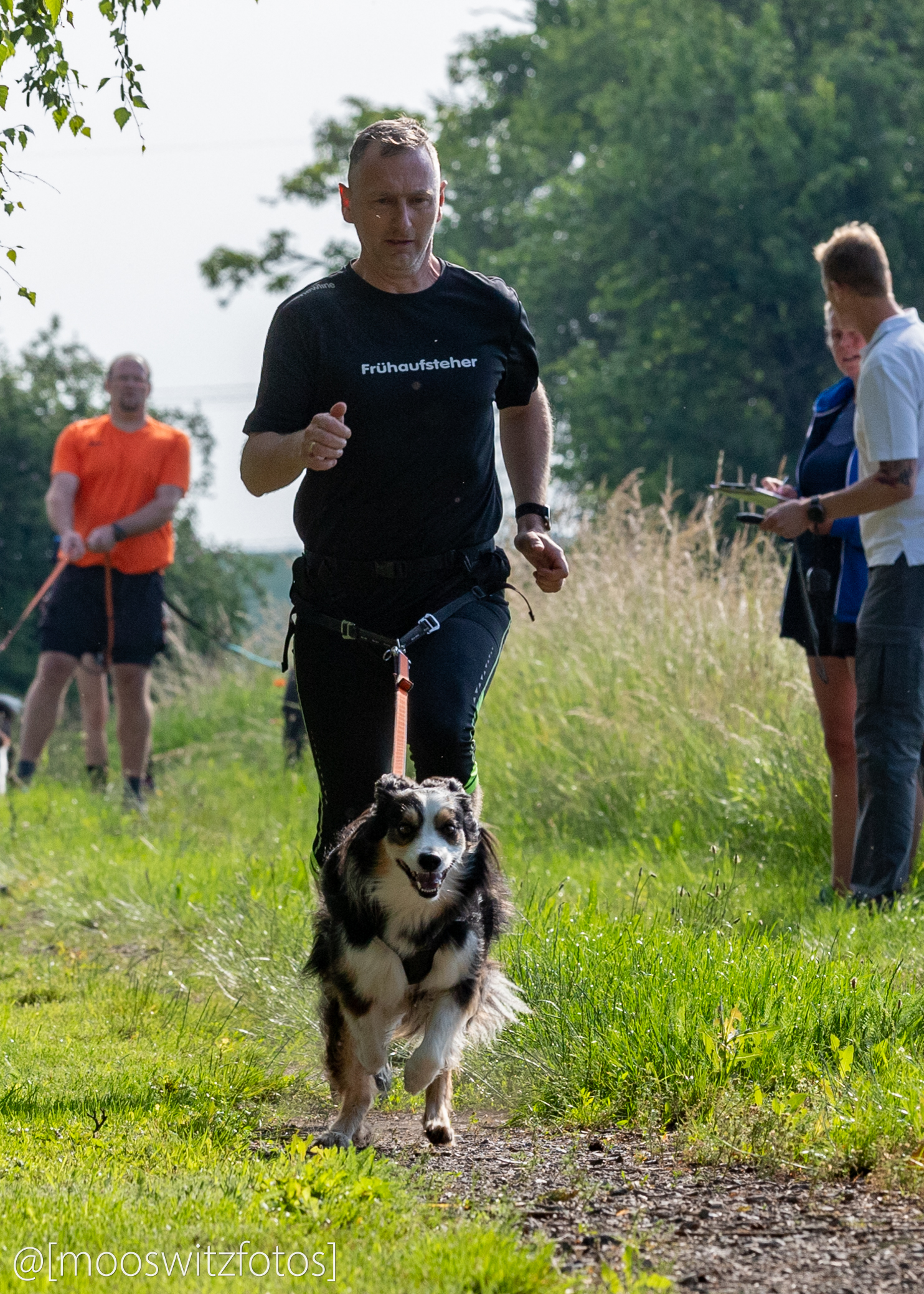 CaniCross 10