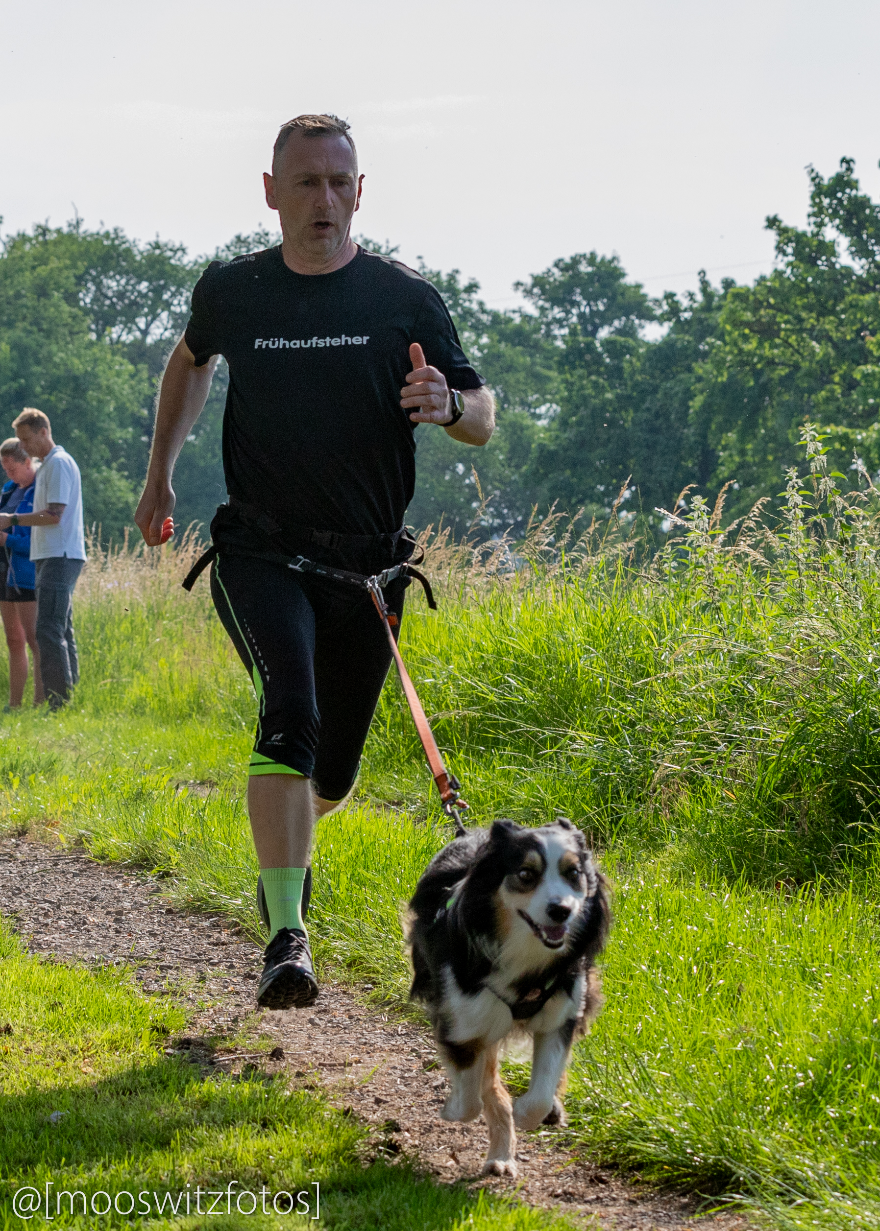 CaniCross 12