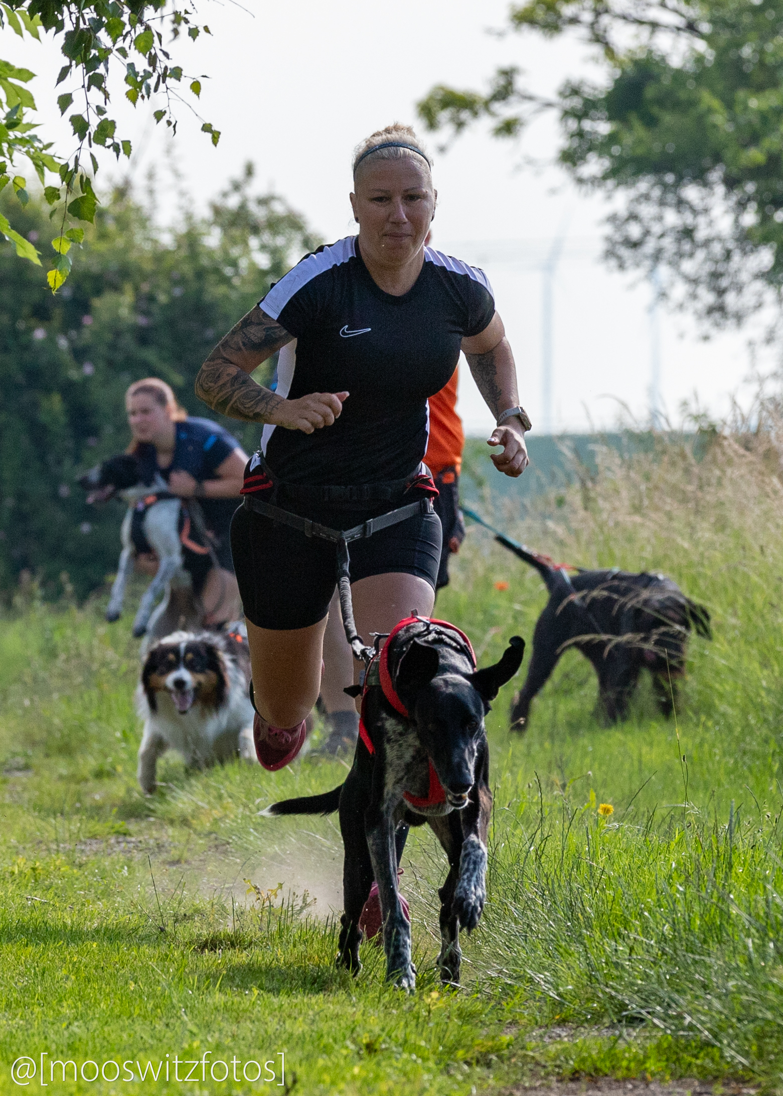CaniCross 13