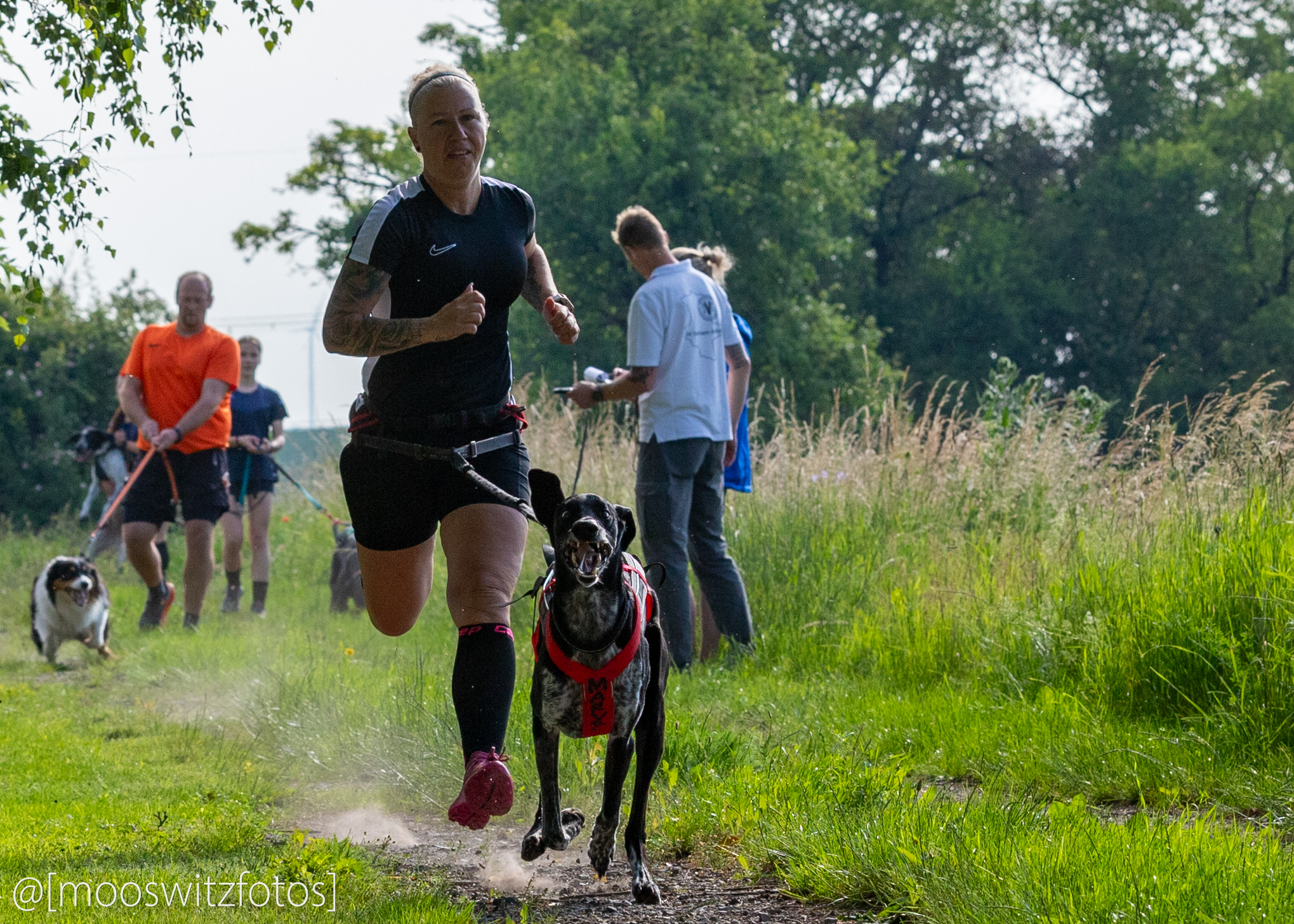 CaniCross 14