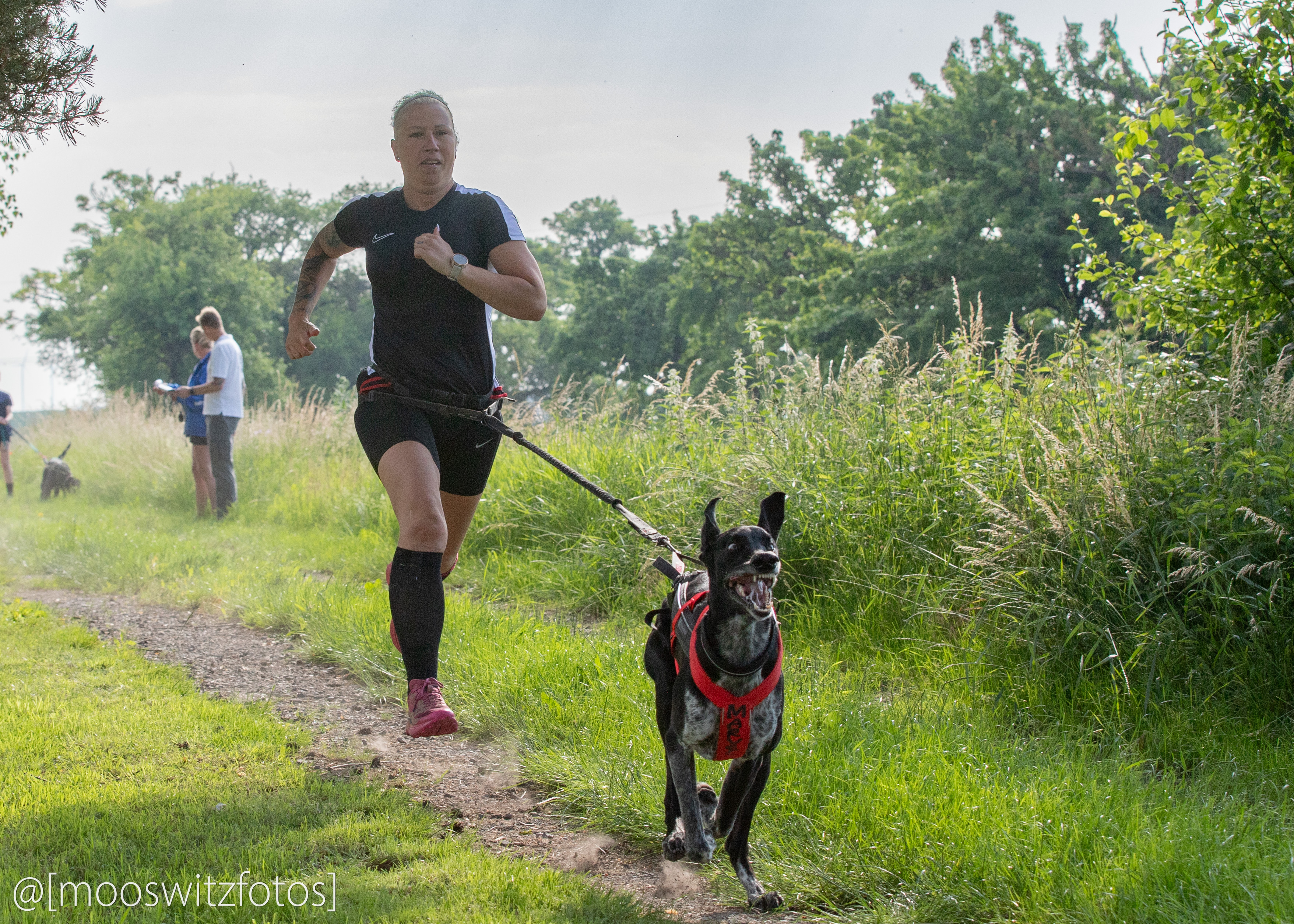 CaniCross 15