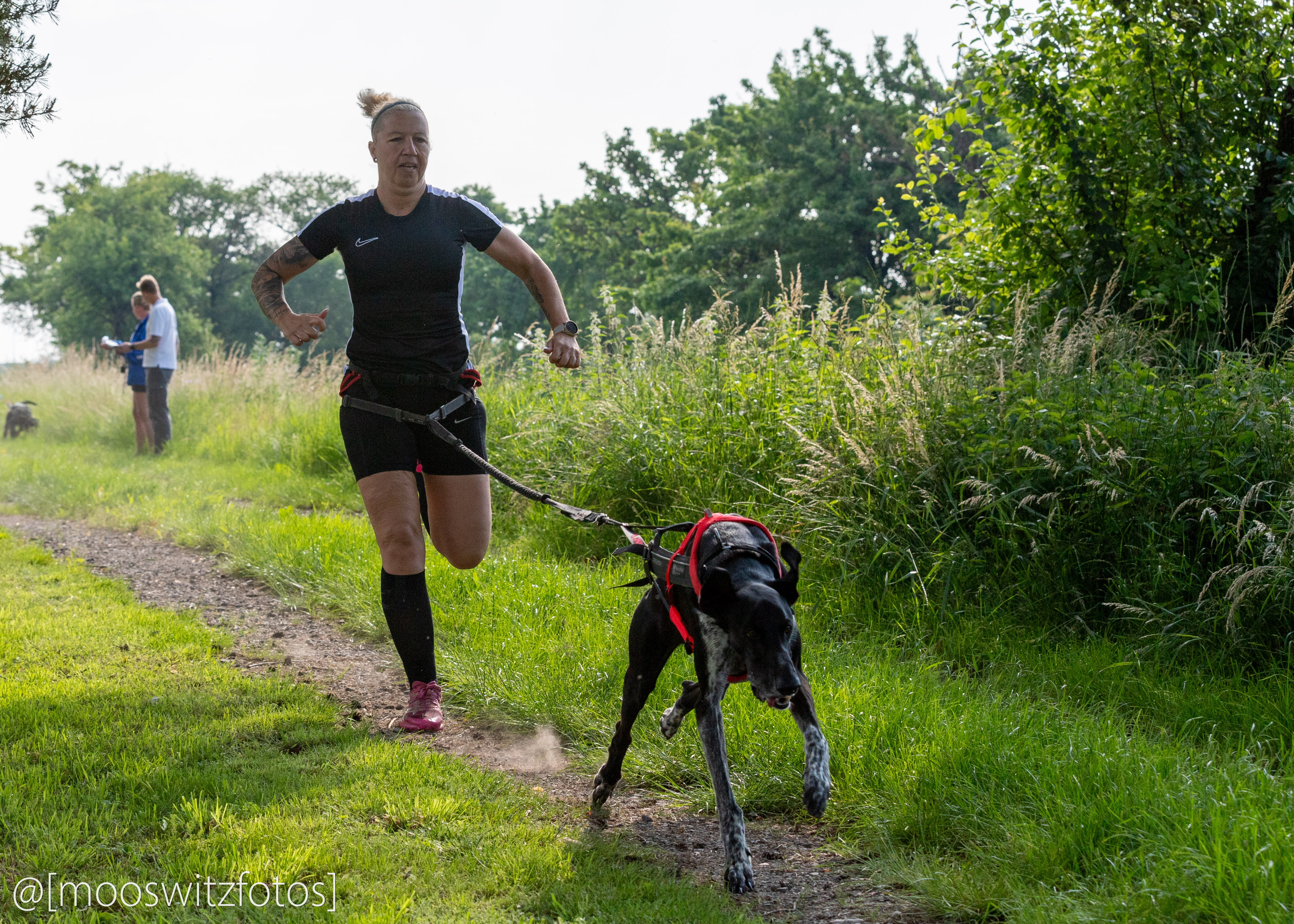 CaniCross 16