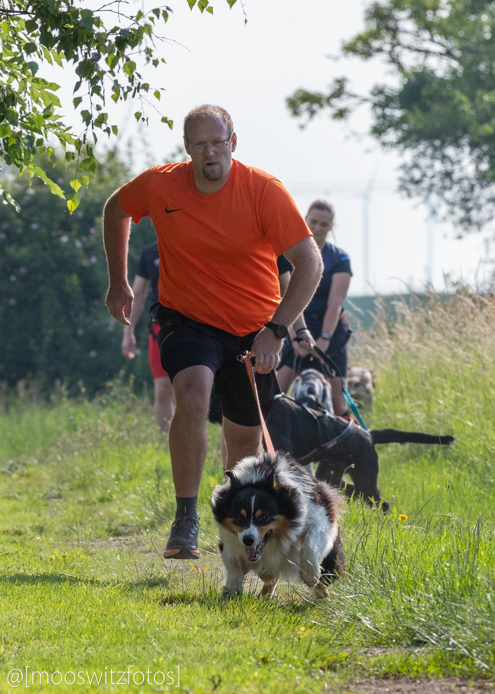 CaniCross 17