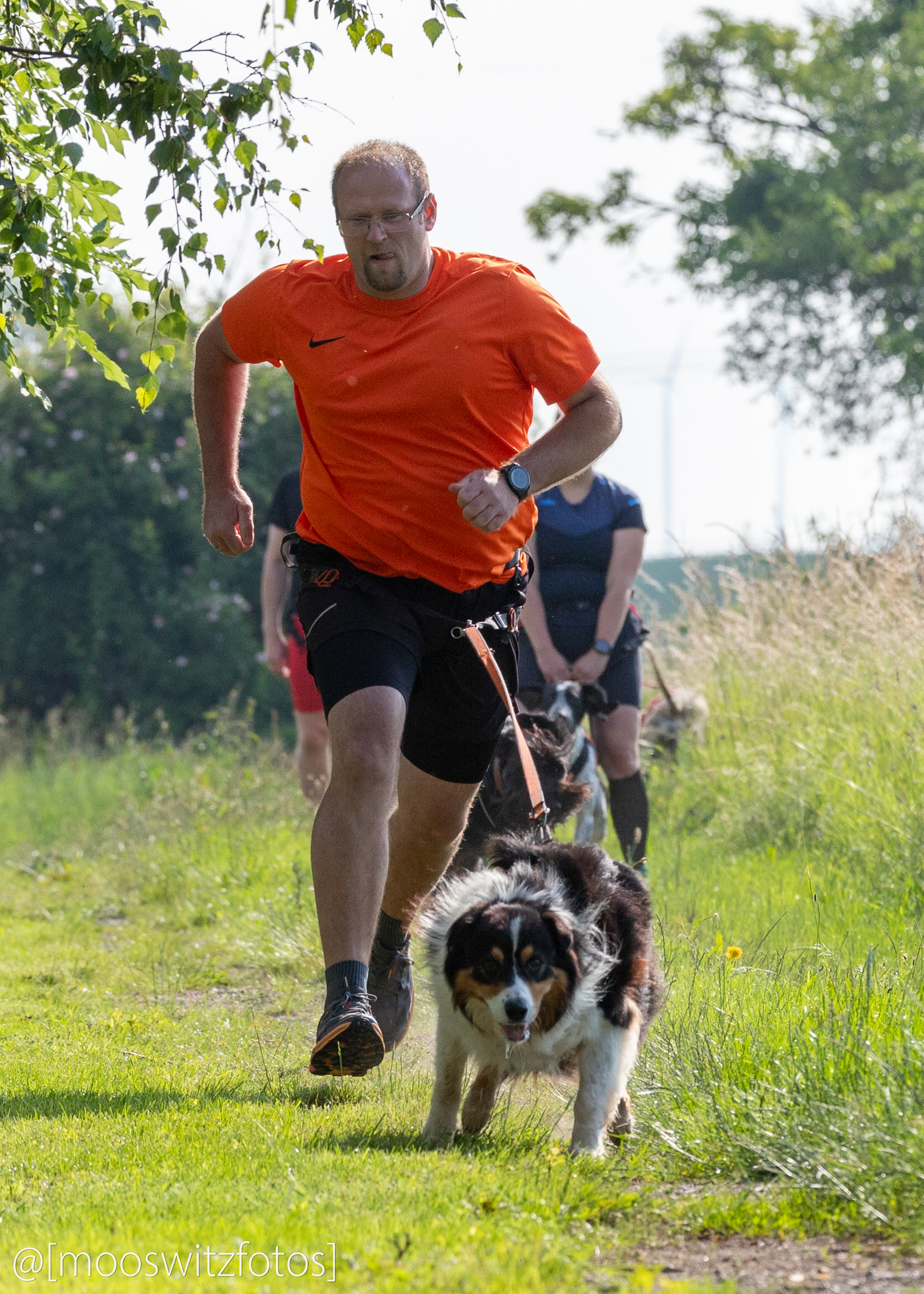 CaniCross 18