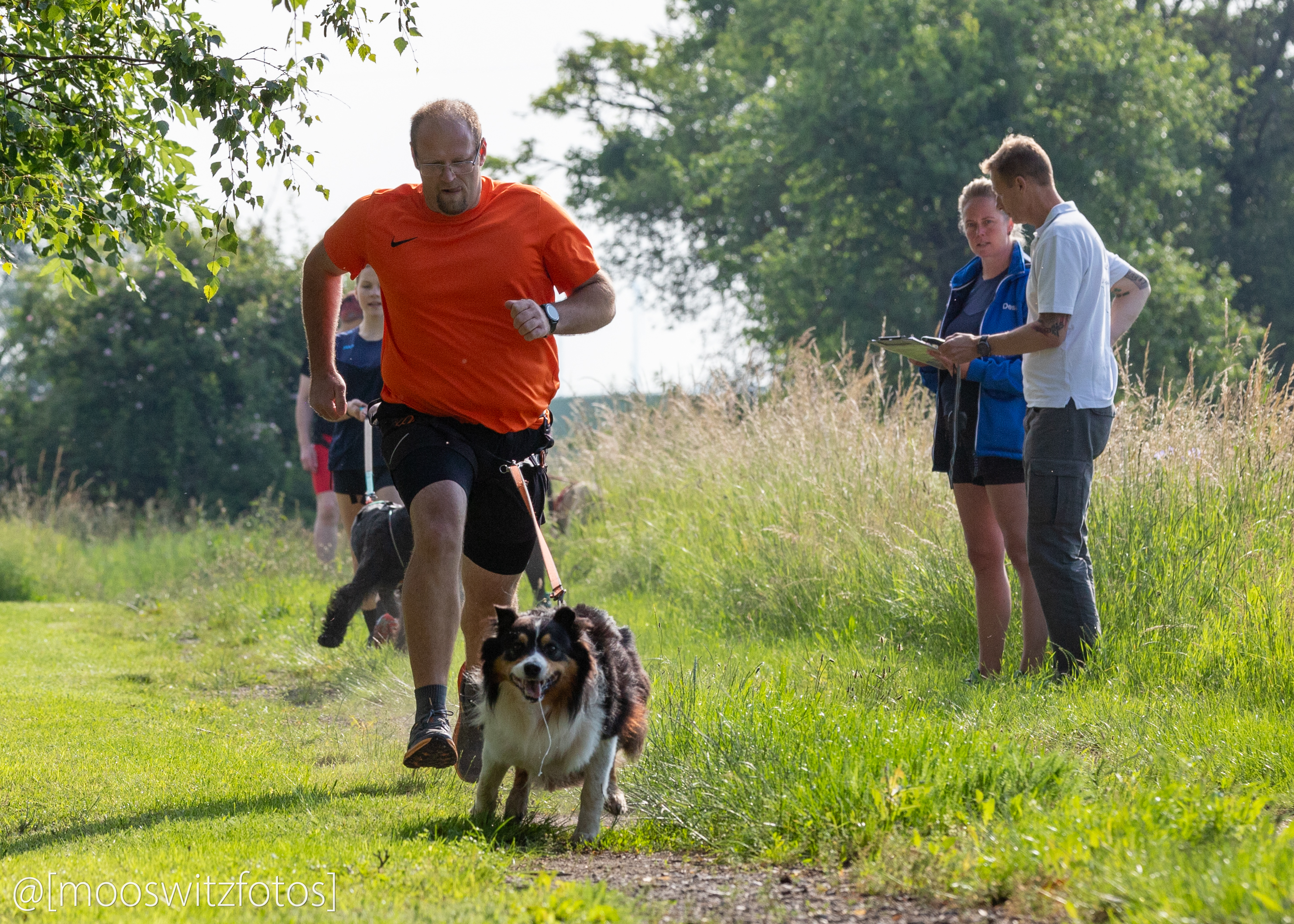 CaniCross 19
