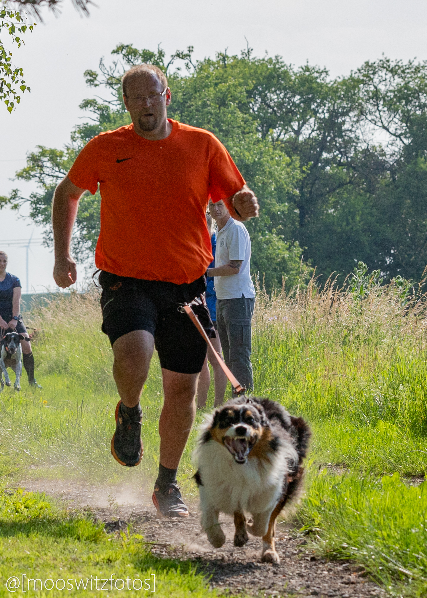 CaniCross 20
