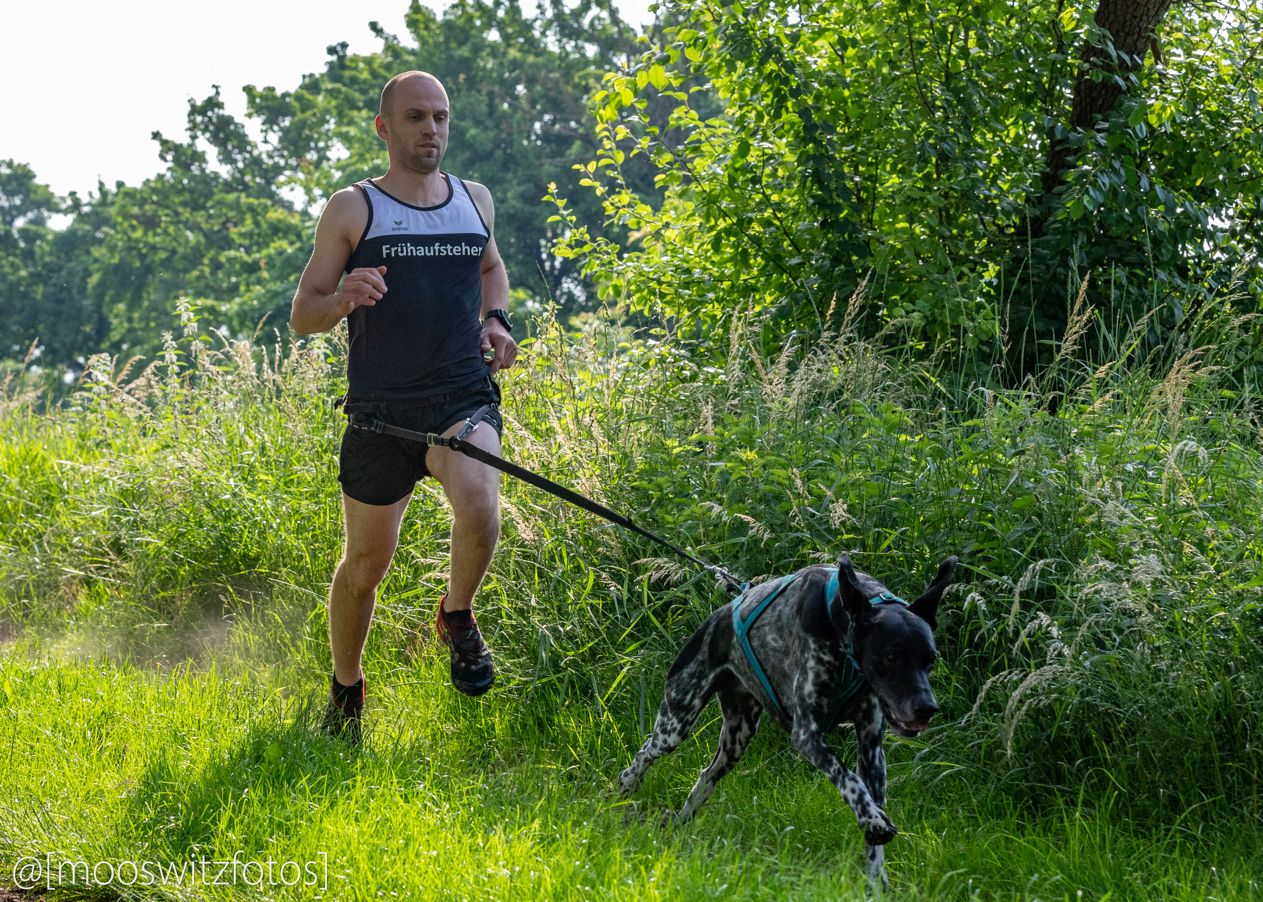 CaniCross 4