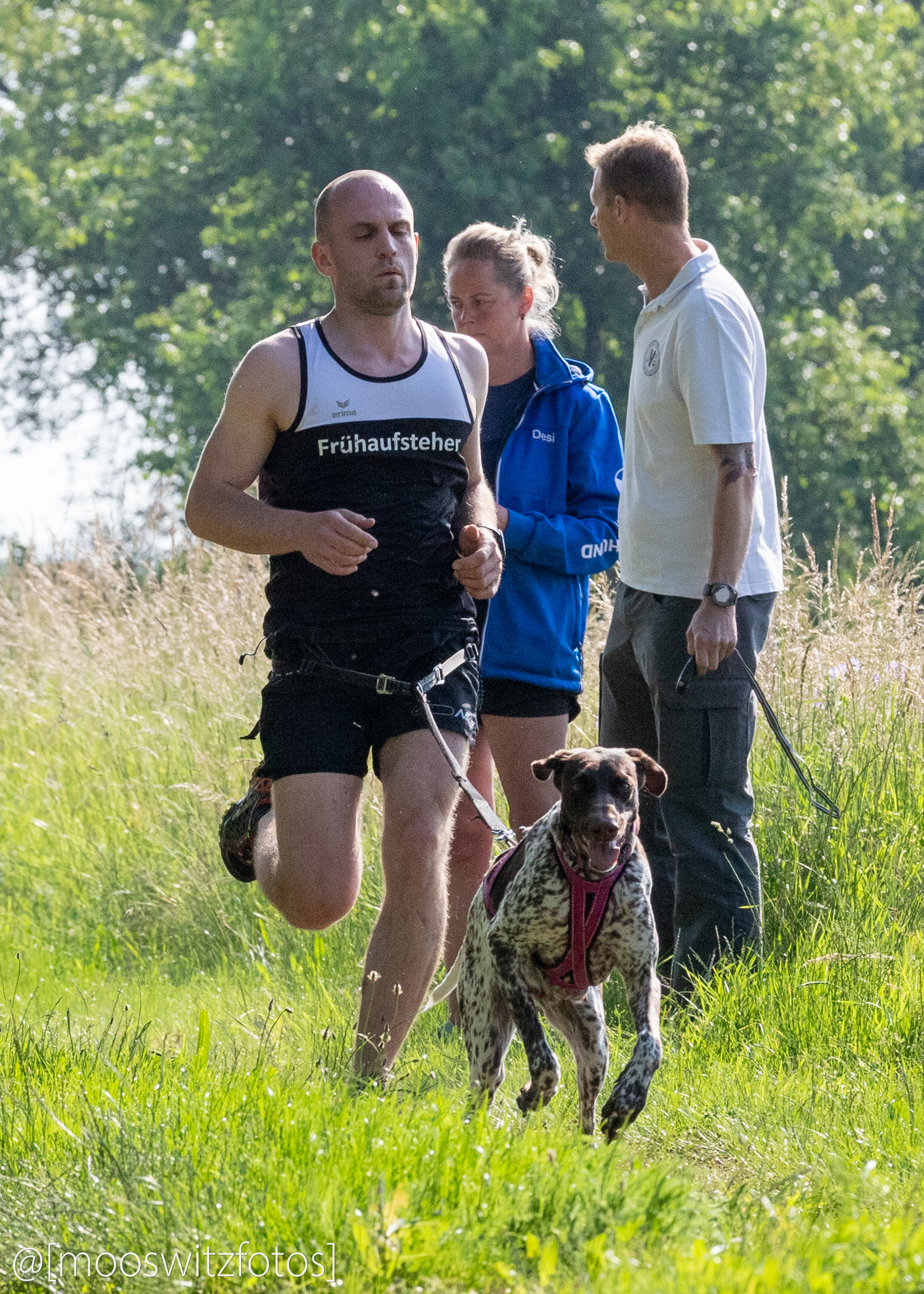 CaniCross 62