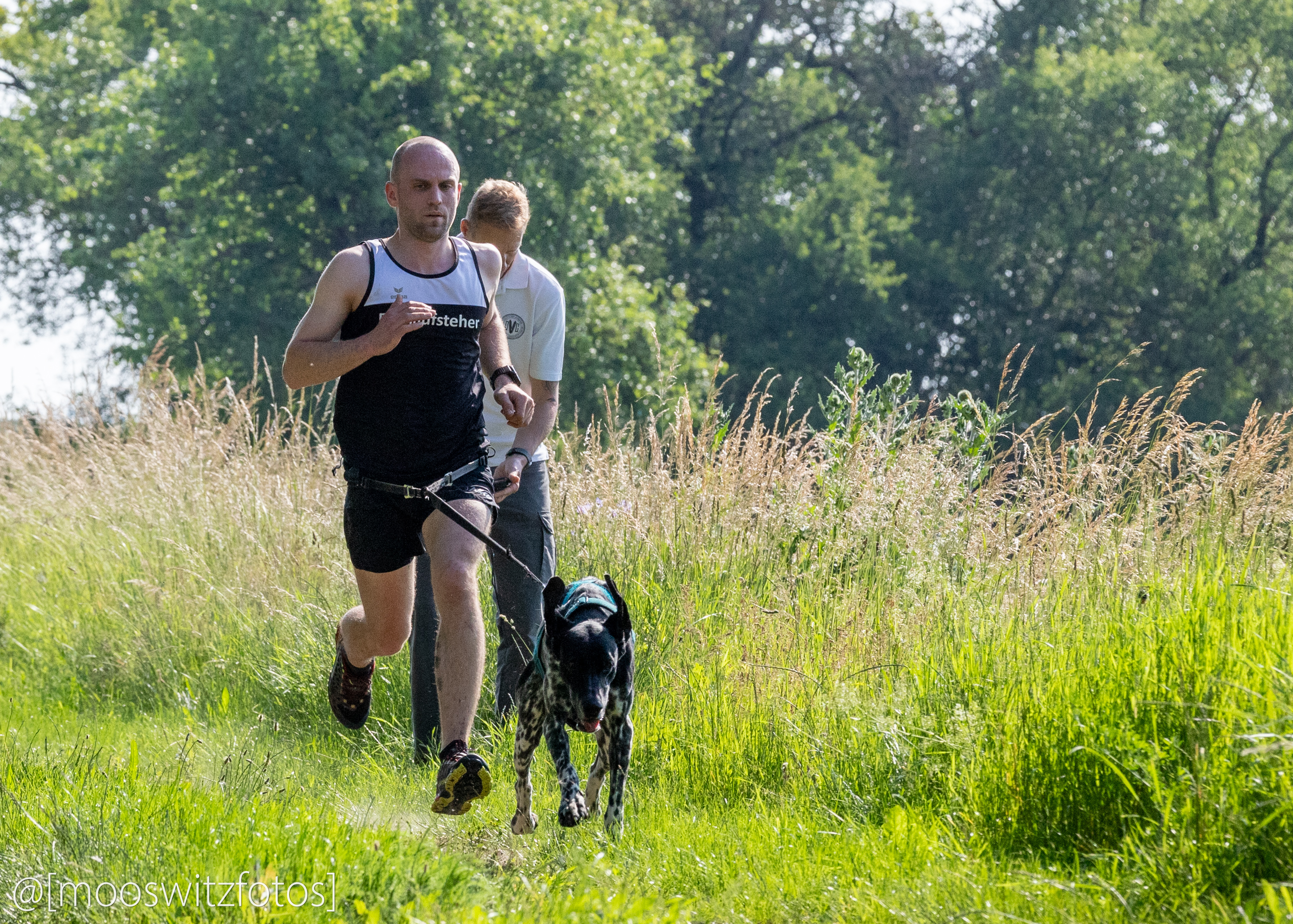 CaniCross 67