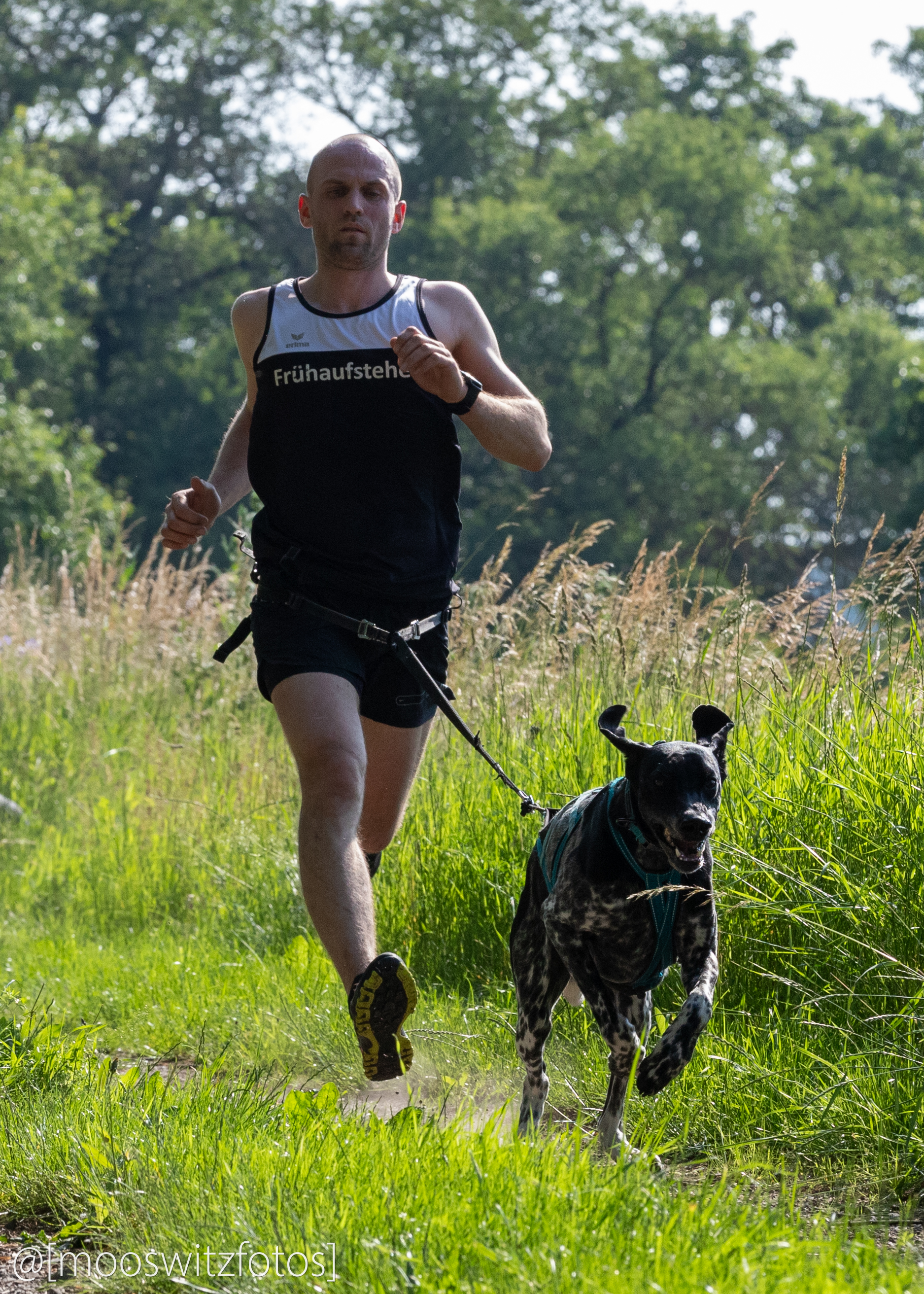 CaniCross 71