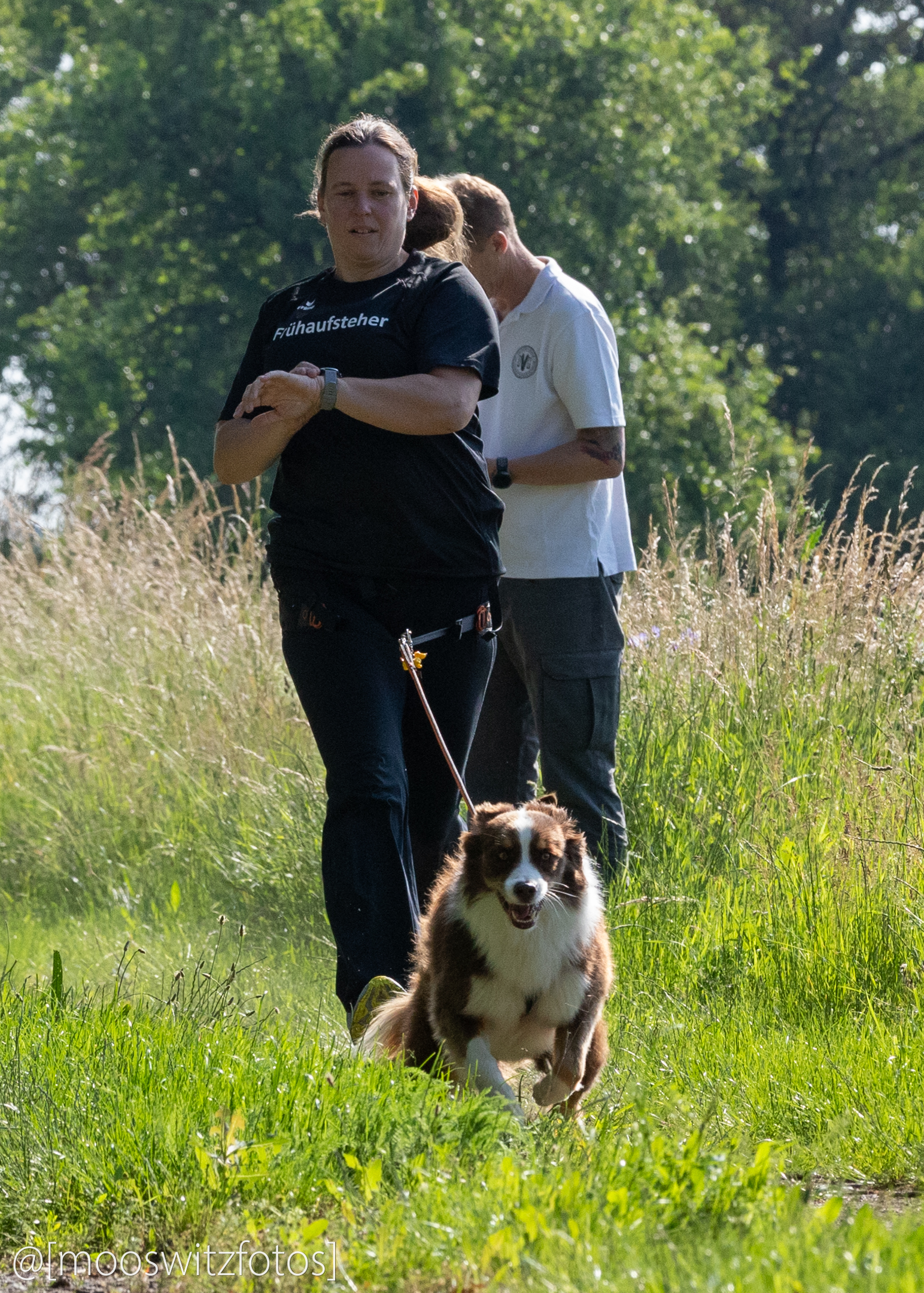 CaniCross 78